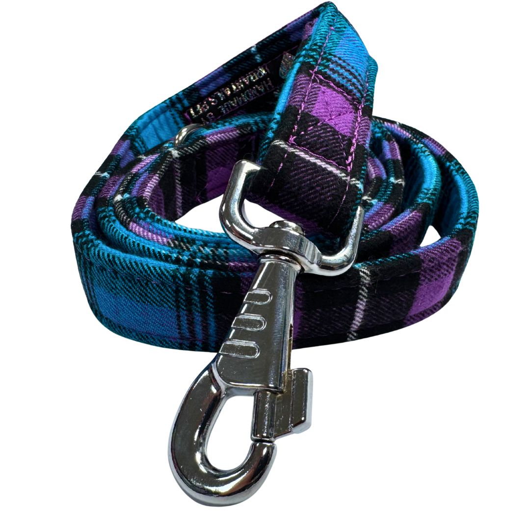 Blue and purple plaid dog leash with a silver clasp in a coil