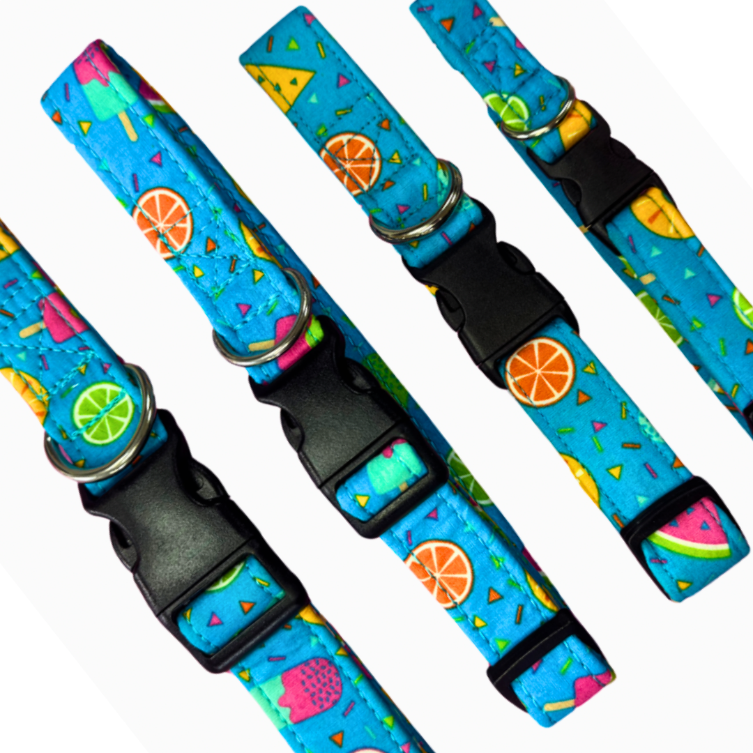 Summer Vibes Collar