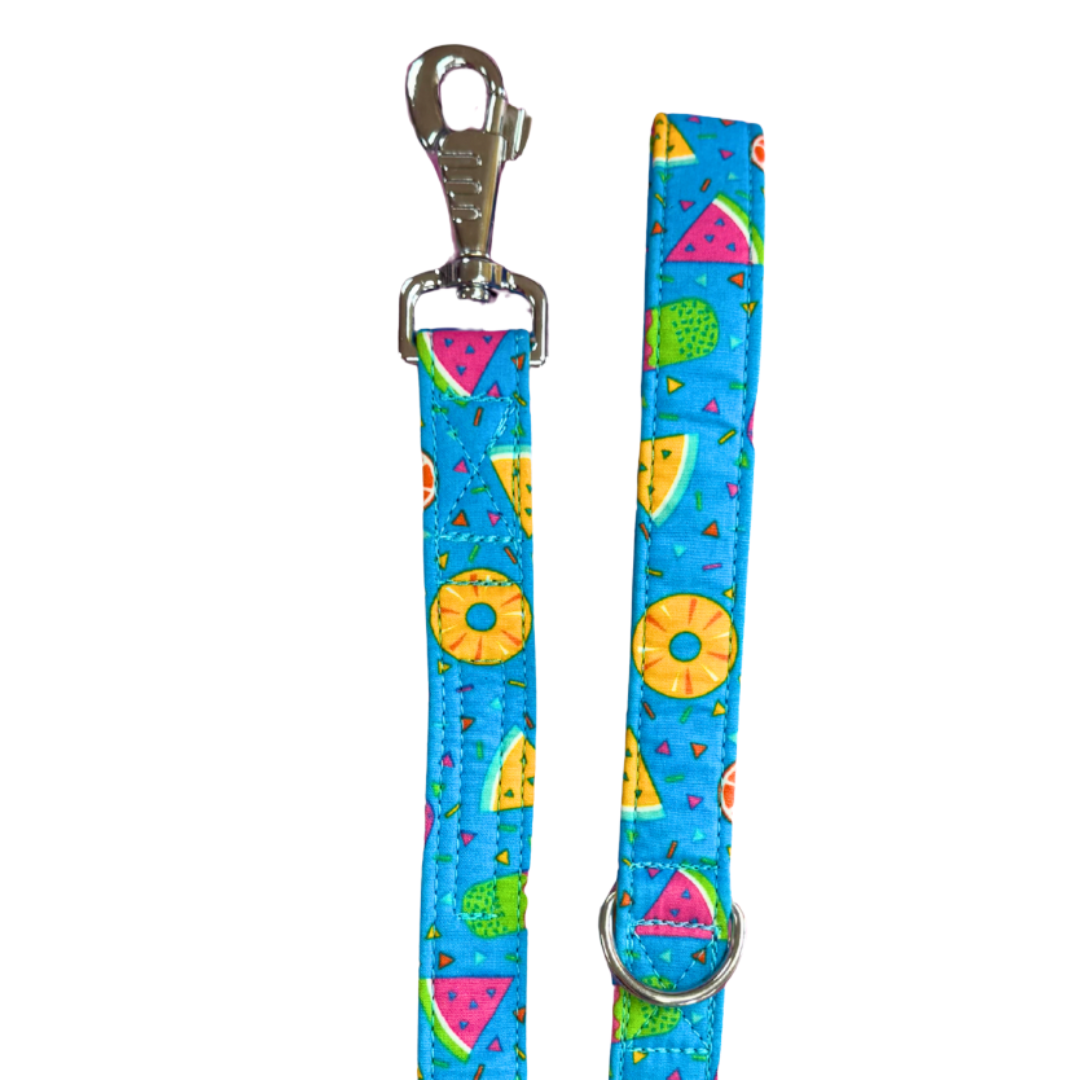 Summer Vibes Dog Lead