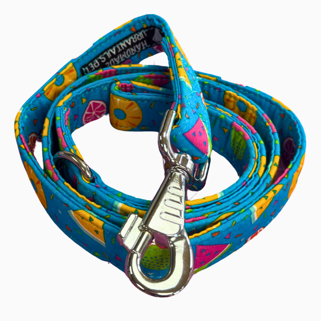 Summer Vibes Dog Lead