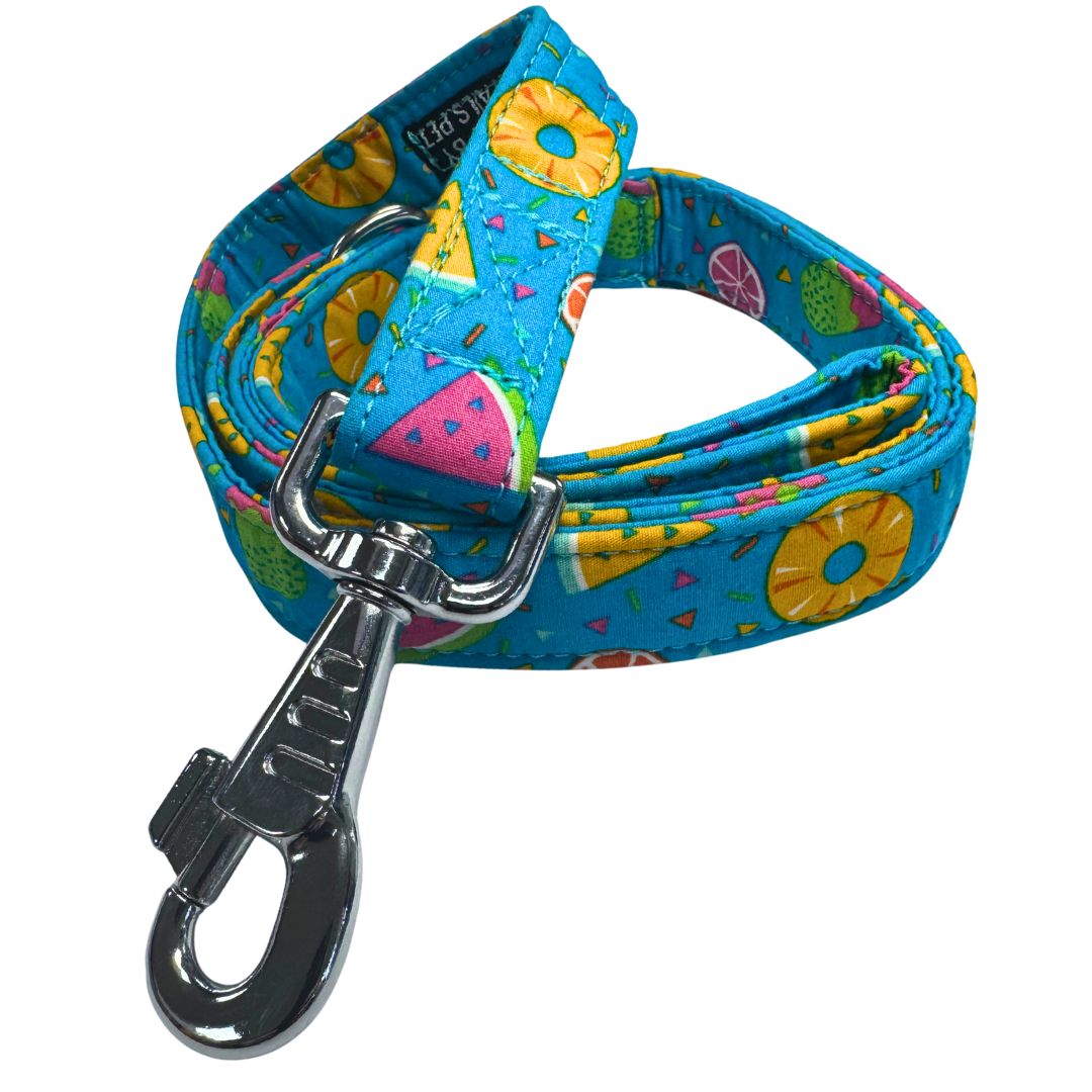 Blue colourful dog lead with fruit and ice lolly pattern with handle and metal clip on a white background