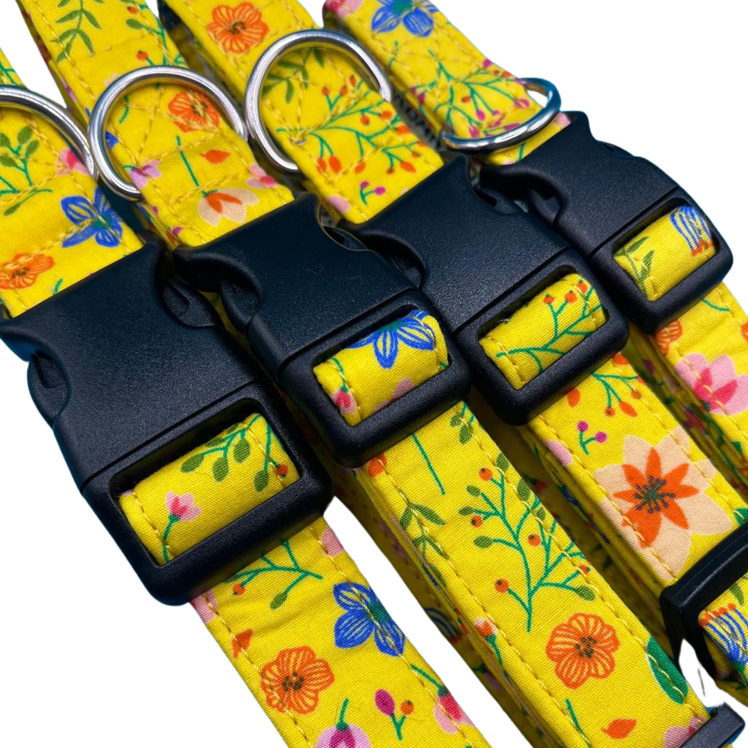 Sunshine Floral Dog Collar