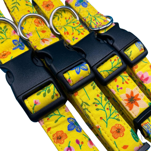 Sunshine Floral Dog Collar