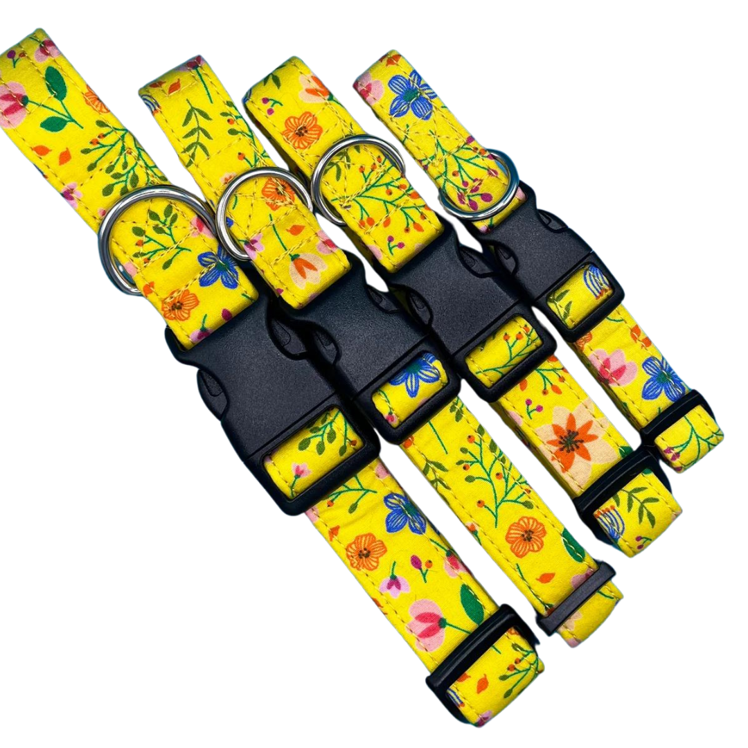 Sunshine Floral Dog Collar