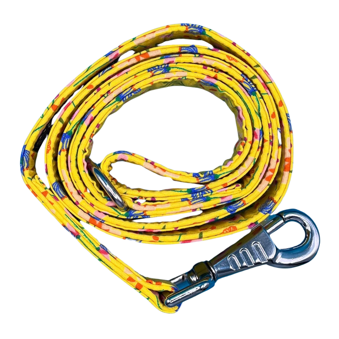 Sunshine Floral Dog Lead