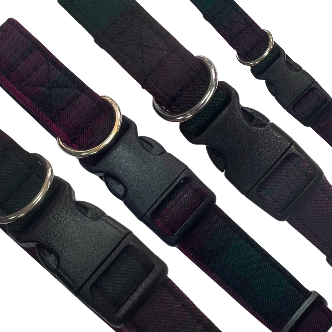 Thistle Tartan Collar