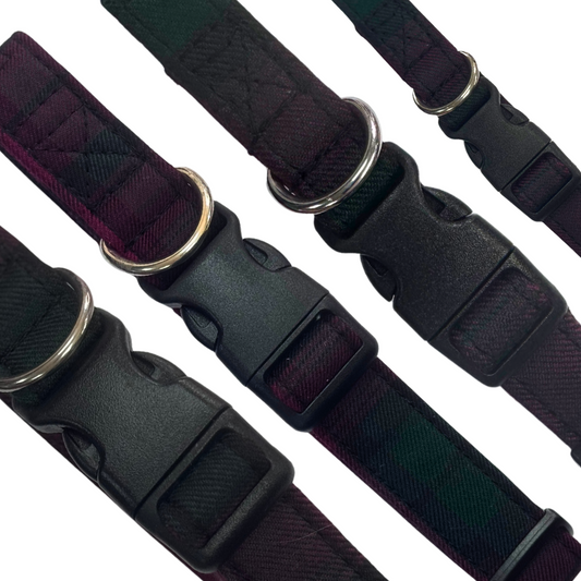 Thistle Tartan Collar