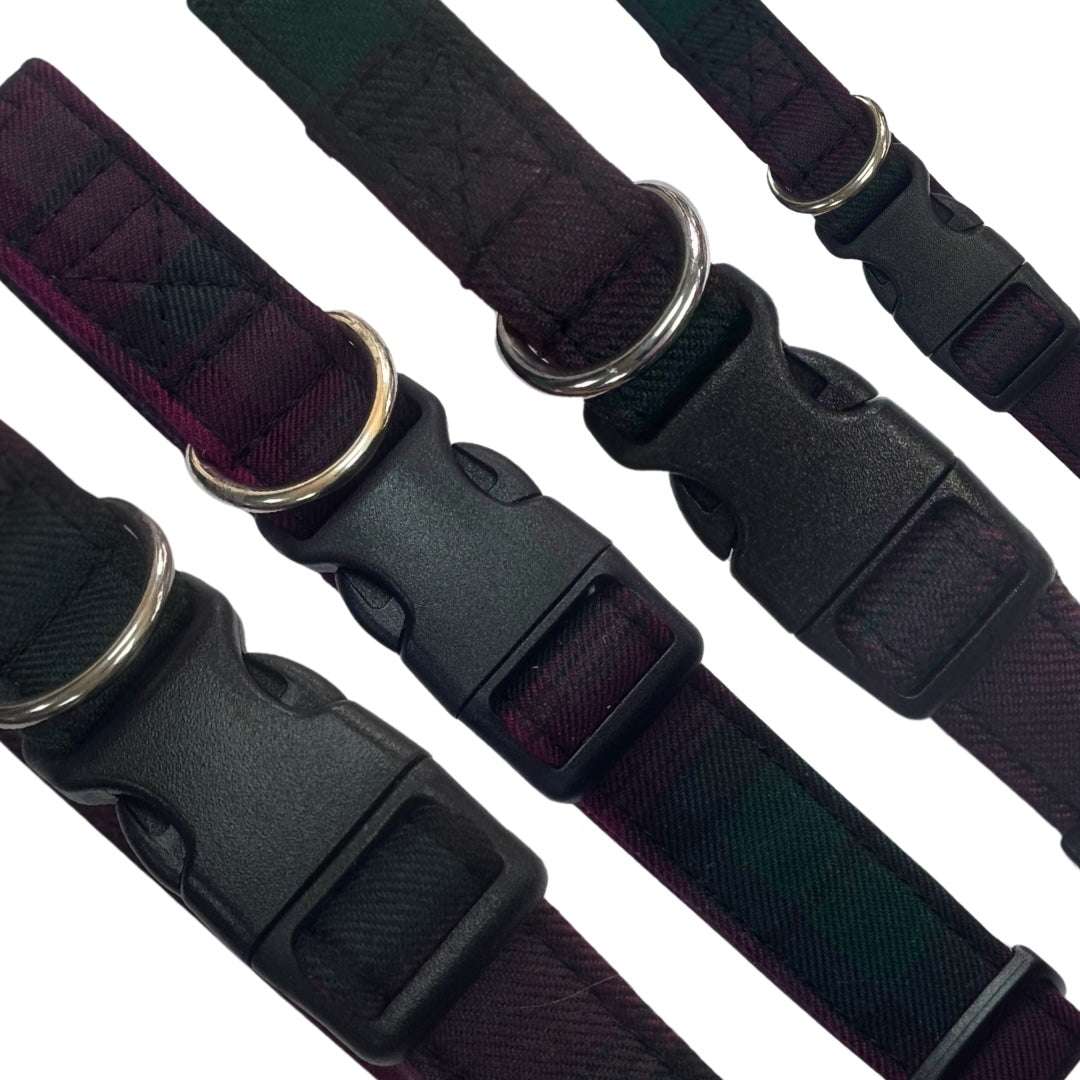 Thistle plum and green tartan dog collars with metal buckles on a white background