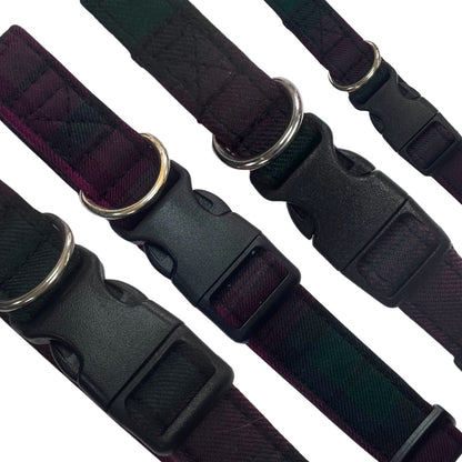 Thistle plum and green tartan dog collars with metal buckles on a white background