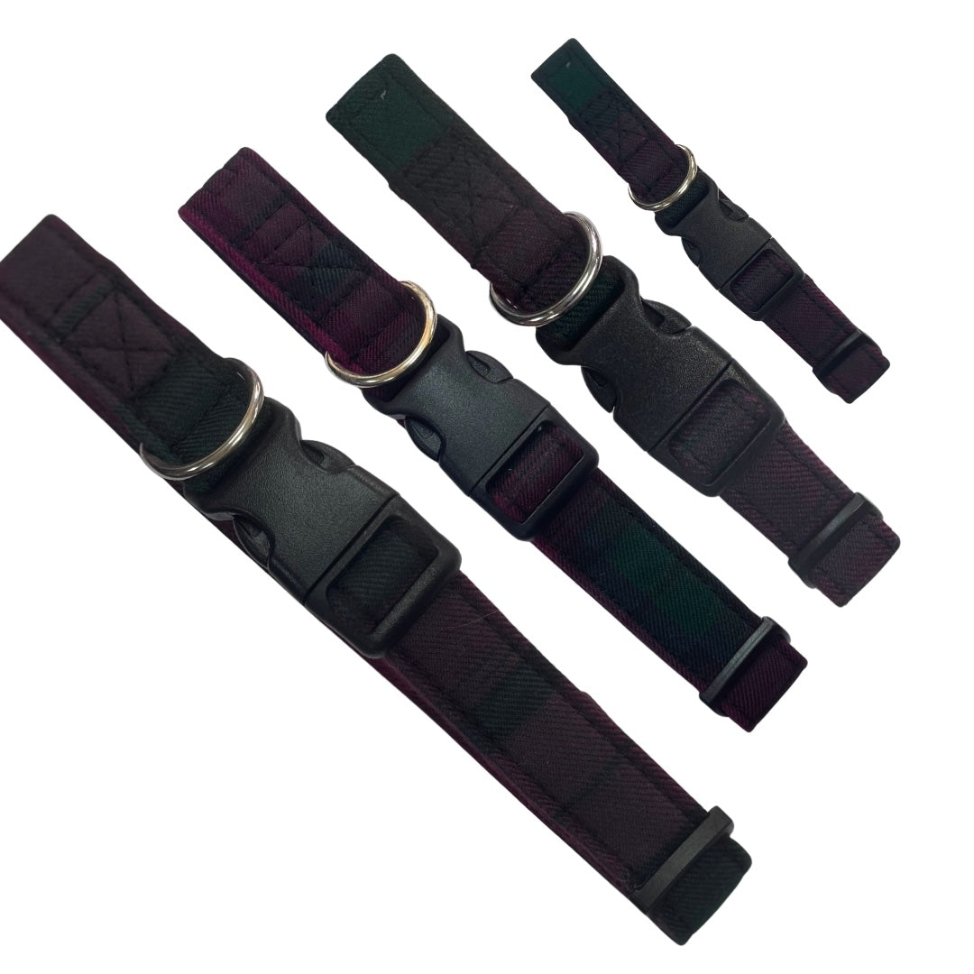 Set of plum and green tartan dog collars with buckles on a white background
