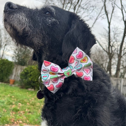 Timmy wearing a large colourful bow tie with heart patterns outdoors.