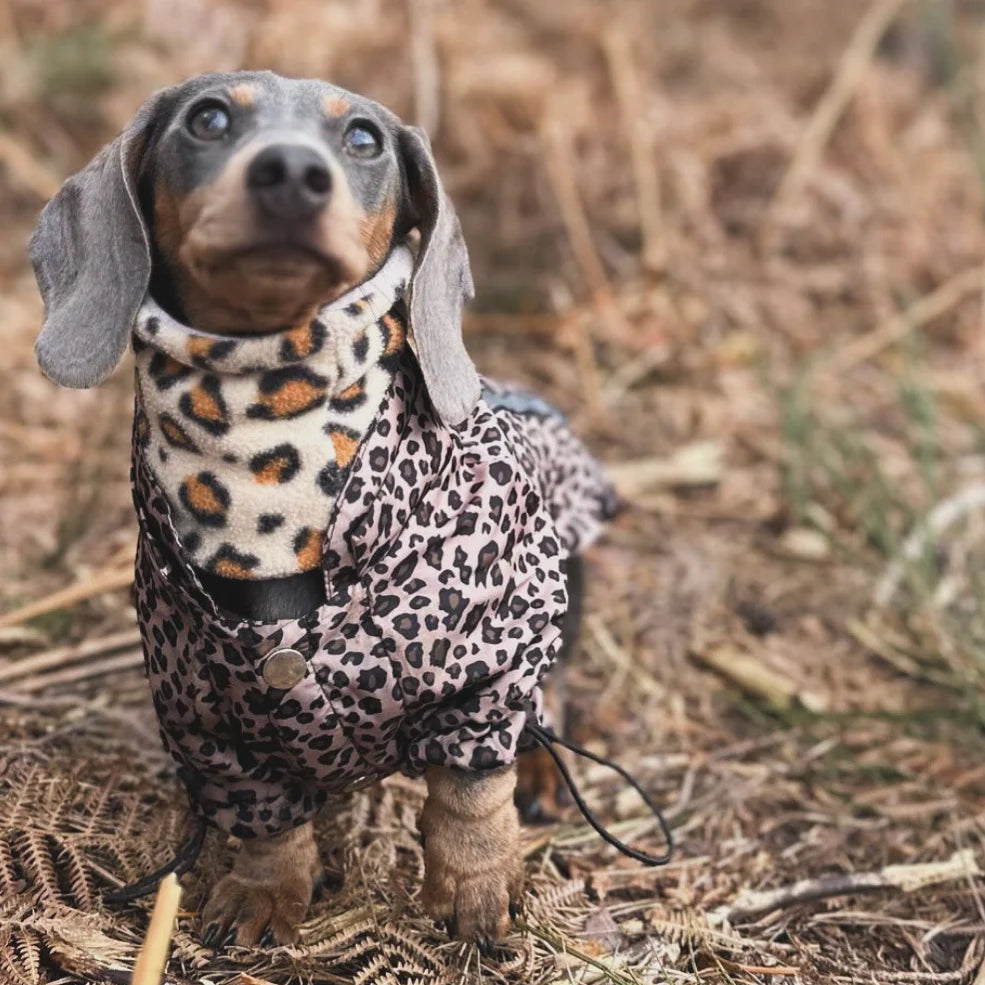 Cheetah and Lilac Reversible Handmade Fleece Dog Snood