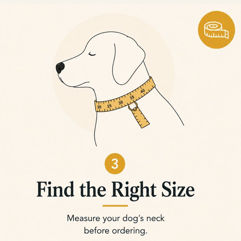 Promotional graphic for measuring a dog's neck size, featuring a simple line drawing of a dog wearing a measuring tape around its neck on a warm cream background. Text reads 'Find the Right Size' and 'Measure your dog's neck before ordering,' with a 'View Size Guide' button and a small yellow measuring tape icon in the top right.