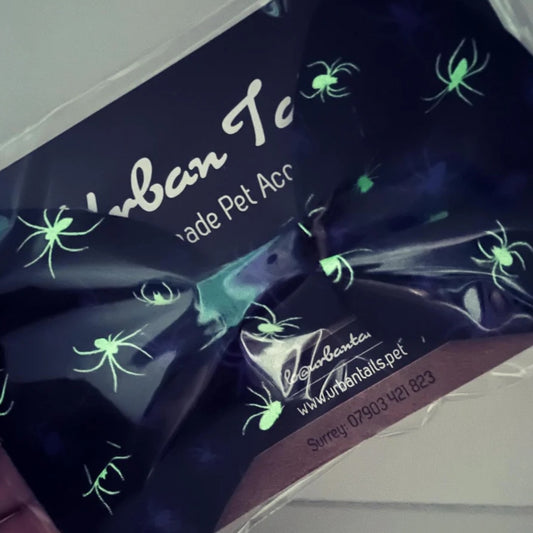 Glow-in-the-dark spider design dog bow on a dark background